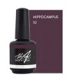 ABSTRACT BRUSH N COLOR HIPPOCAMPUS 15 ML