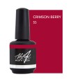 ABSTRACT BRUSH N COLOR CRIMSON BERRY 15 ML