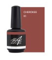 ABSTRACT BRUSH N COLOR INDIAN RED 15 ML