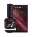 ABSTRACT BRUSH N COLOR PERSIAN 15 ML
