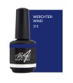 ABSTRACT BRUSH N COLOR WERCHTERWIND 15 ML