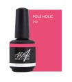 ABSTRACT BRUSH N COLOR POLE HOLIC 15 ML