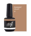 ABSTRACT BRUSH N COLOR PLEASANT VALLEY 15 ML
