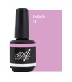 ABSTRACT BRUSH N COLOR PARMA 15 ML