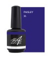 ABSTRACT BRUSH N COLOR PAISLEY 15 ML